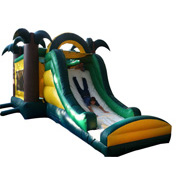 inflatable adult slide